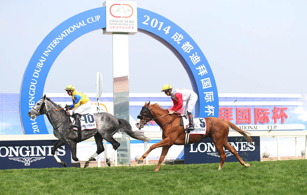 2014中國(guó)成都-溫江迪拜國(guó)際杯賽馬經(jīng)典賽金激情上演