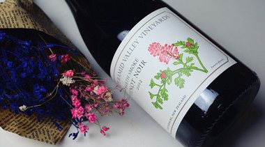 品種、產(chǎn)區(qū)和釀酒工藝：10組對(duì)比品鑒 助你快速掌握葡萄酒知識(shí)