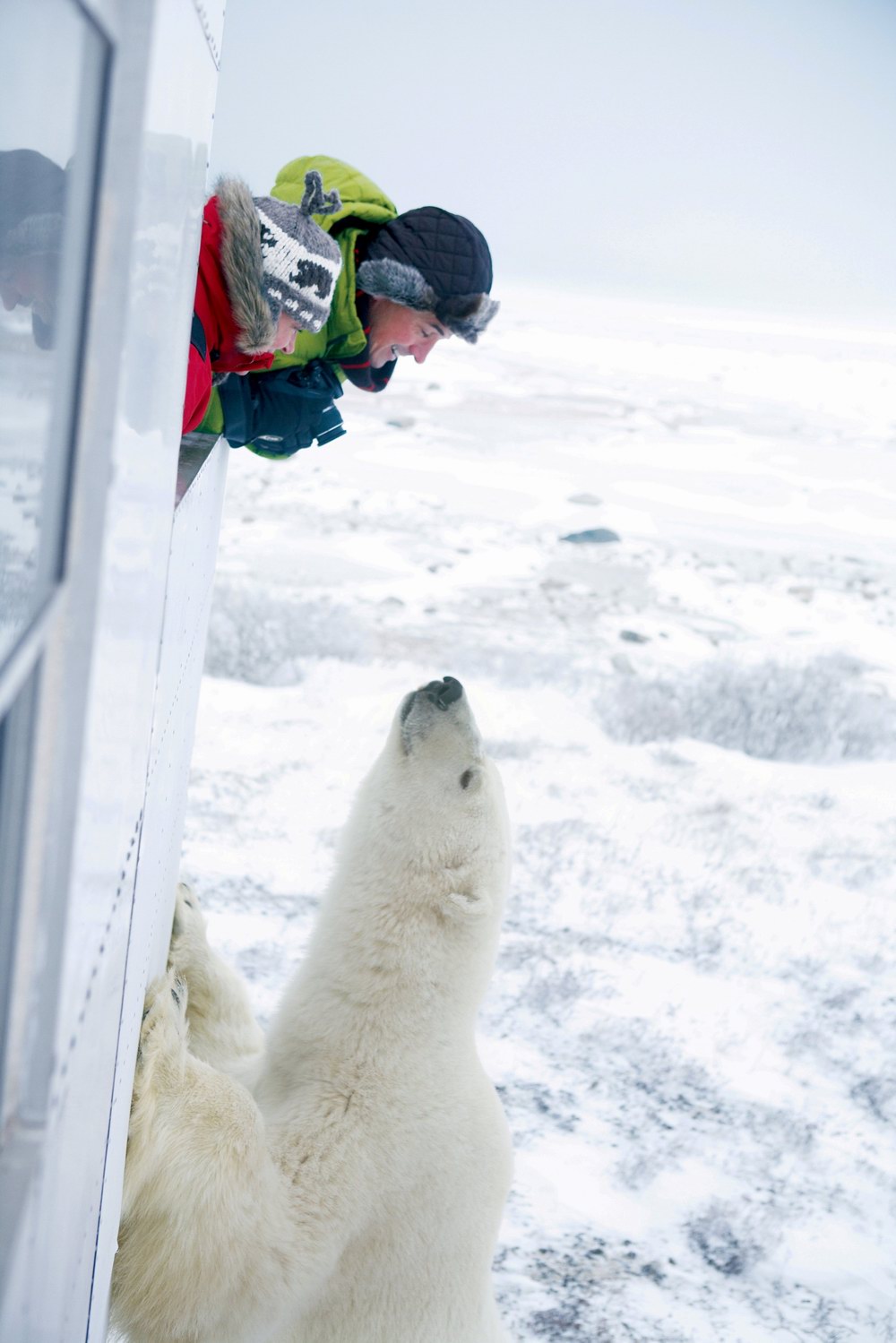 加拿大演繹冬日狂歡盛宴 譜寫獨樹一幟樂享旅程